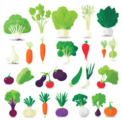 food, fresh, background, vegetable, organic, diet, vegetarian, healthy, vegan, vegetables, health, vitamin, green, ingredient, fruit, broccoli, tomato, natural, nutrition, farm, garden, collection, ag