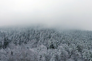 Aerial view of snowy forest and hills
