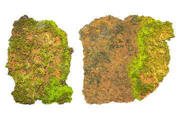 Mossy Textures Isolated on Transparent Background, Organic Green Surface with Natural Rough Edges