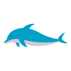 Dolphin Illustration