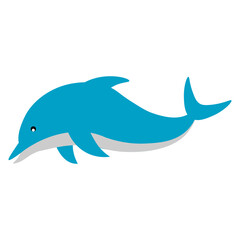 Dolphin Illustration