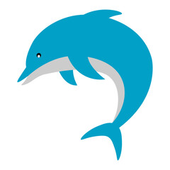 Dolphin Illustration