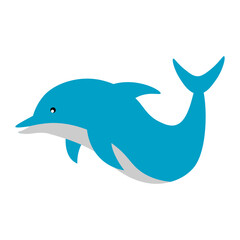 Dolphin Illustration