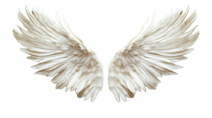 Ethereal white wings symbolize freedom and spirituality in a celestial embrace
