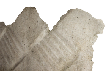 Torn Concrete Texture with Moss and Weathered Pattern Isolated on Transparent Background