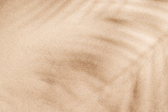 A tropical summer background featuring soft beach sand with delicate palm leaf shadows