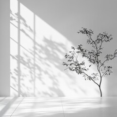 Minimalist Interior Design: A Branch's Shadow Play on a White Wall