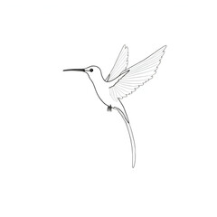 A line art Hummingbird illustration of a coloring Page white background