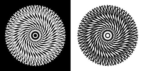 Abstract background with line pattern forming circle. Spiral art design as logo or icon. Black lines on white background and same white lines on black side. Mandala with line pattern.