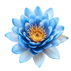 Fototapeta premium Blue lotus flower isolated on a transparent background, png