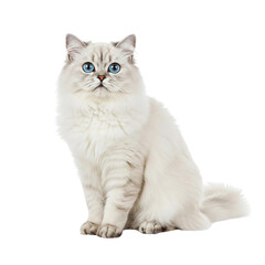 Animals photographed from different angles, animal theme or marketing campaign. High quality, realistic images with detailed textures, isolated on transparent background (PNG).