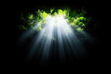 Sunlight streams into a dark cave, illuminating lush foliage