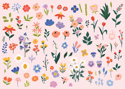 Collection of  colorful flower elements vector set of spring and summer wildflower, leaf branch, buds and foliage clipart. Perfect for stickers, invitation cards, banners, templates. 