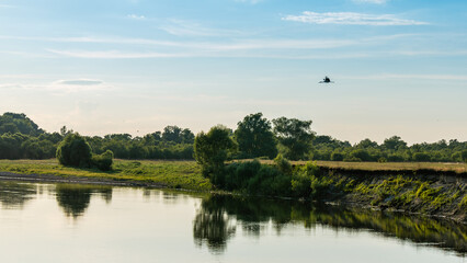 Obraz premium A tranquil river reflecting lush greenery under a blue sky, with a lone bird soaring above the peaceful natural scenery.