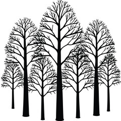 Obraz premium tree silhouette and Tropical leaves vector isolated on white background.