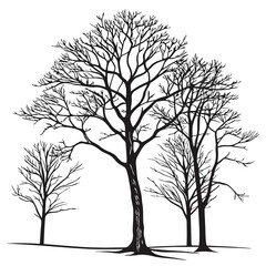 tree silhouette and Tropical leaves vector isolated on white background.