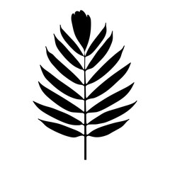 Palm Leaf silhouette leaf illustration vector
