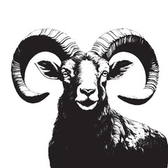 Black and white illustration of a ram with big horns. Vector drawing of a wild animal on a white background