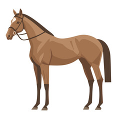 Naklejka premium Horse illustration animal vector vector