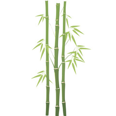 Bamboo tree illustration plant style vector