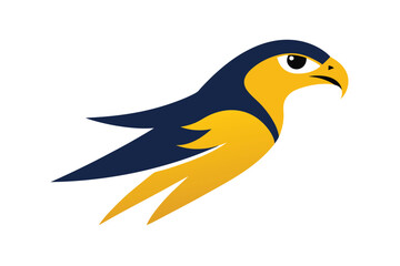 Obraz premium bird of prey