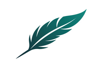 Obraz premium feather and leaf