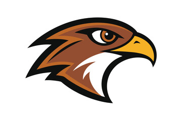 Fototapeta premium head of eagle