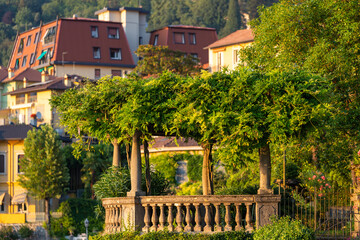 Lush pergola covered with greenery atop decorative stone balustrade, set against backdrop of colorful village houses. Warm light enhances vibrant summer atmosphere