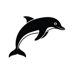 Fototapeta premium dolphin isolated on white background