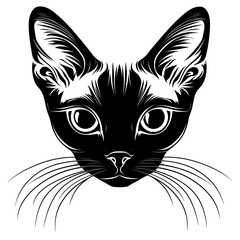 Obraz premium Chubby Devon Rex cat head linear art illustration drawing vector