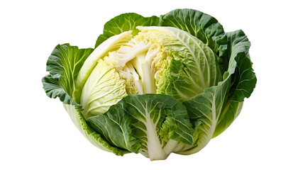 Fototapeta premium cabbage isolated on white background