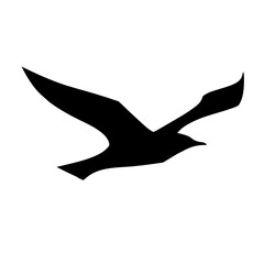 vector silhouette of a bird on white background
