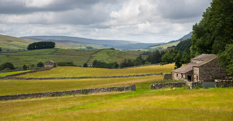 Agricultural fields and barns, Wensleydale near Hawes, Yorkshire Dales National Park, England