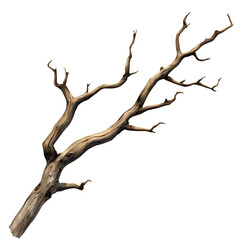 Fototapeta premium Isolated on, a wooden branch clipart illustration with transparent background png