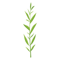 Flat vector of green grass plant leaf illustration vector
