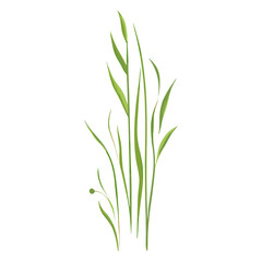 Obraz premium Flat vector of green grass plant leaf art vector