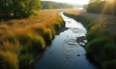 Obraz premium Native plant restoration of riparian zone with meandering stream, aerial view of ecological recovery project showing willows and sedges preventing erosion along waterway