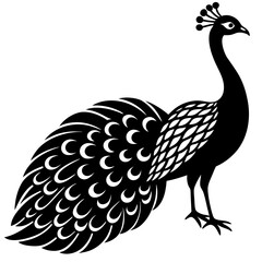 Fototapeta premium peacock black silhouette vector, Simple silhouette Design vector icon with white background.