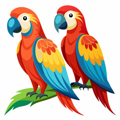 two parrots on white background