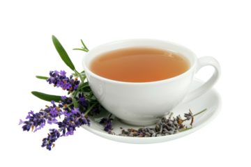 A calming cup of lavender tea beside fresh lavender sprigs on a white plate inviting tranquility and relaxation