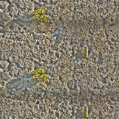 old concrete wall background