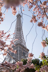 Beautiful view of the Eiffel Tower with cherry blossoms
