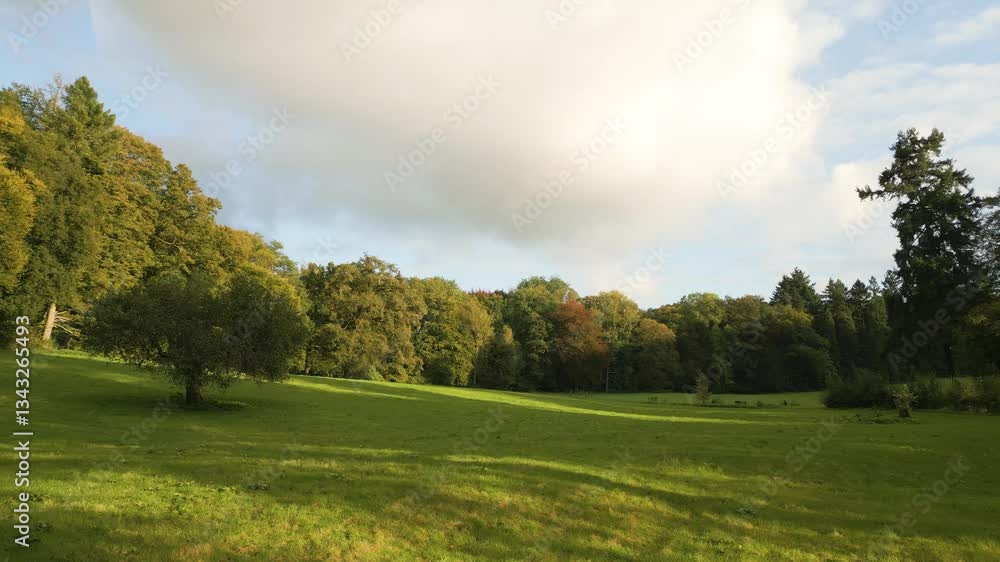 Poster wide drone view of a peaceful open field bordered by dense trees under a bright sky.