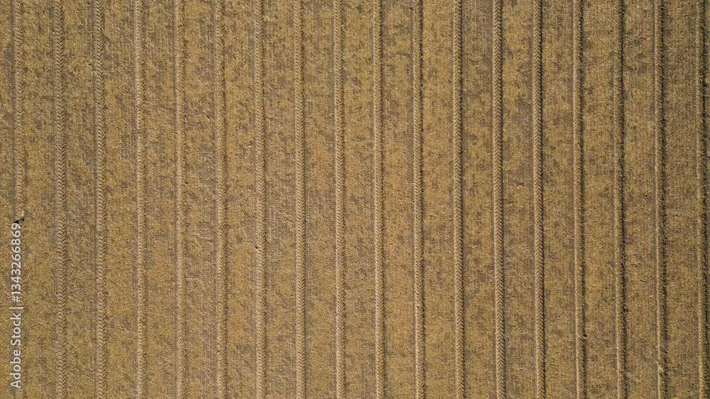 Poster aerial view of an agricultural field with plowed rows, creating a textured pattern.