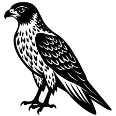 wild hawk bird black silhouette vector, Simple silhouette Design vector icon with white background.