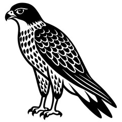 wild hawk bird black silhouette vector, Simple silhouette Design vector icon with white background.