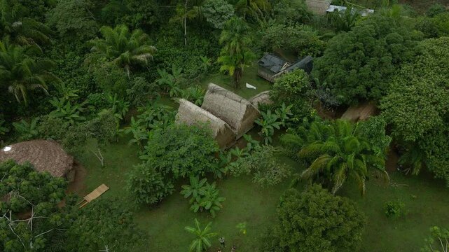 Huts of Indigenous community Pil&oacute;n Lajas Biosphere Reserve Bolivia jungle rainforest