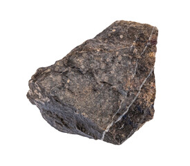 Limestone rock with fossils .Stone specimen. Sedimentary rock