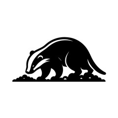Fototapeta premium Badger digging soil silhouette on white background