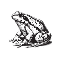 Naklejka premium frog clipart for kids book